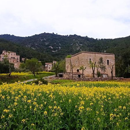 El Castell De Seguero Lejlighed Beuda Eksteriør billede