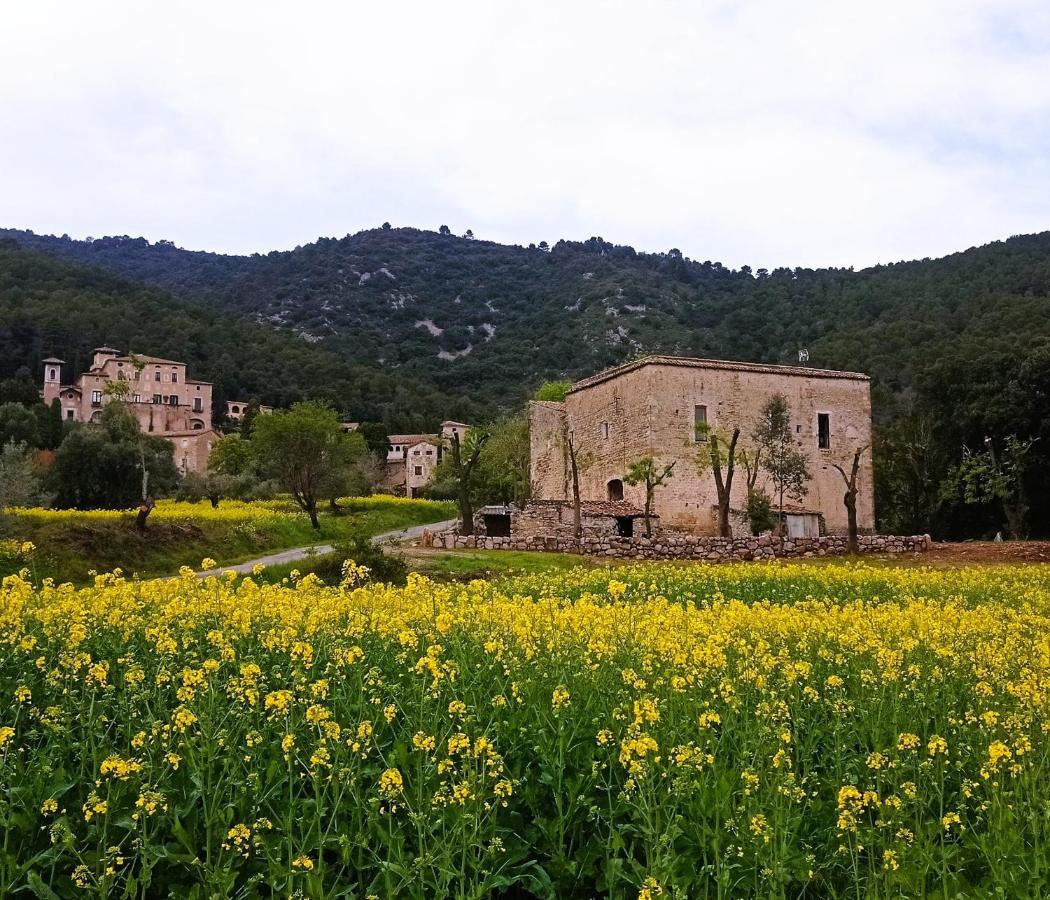 El Castell De Seguero Lejlighed Beuda Eksteriør billede