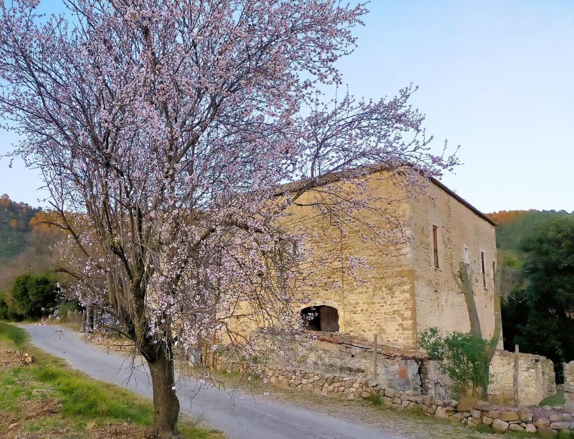 El Castell De Seguero Lejlighed Beuda Eksteriør billede
